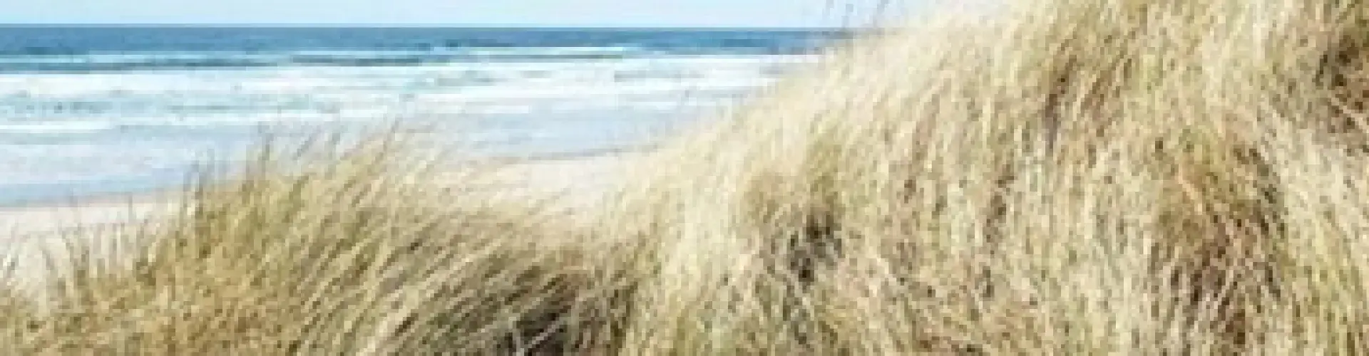 Beach picture