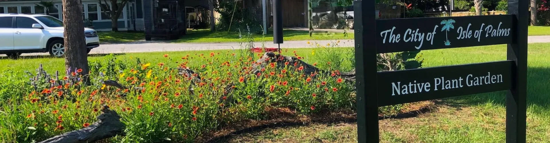 native plant garden