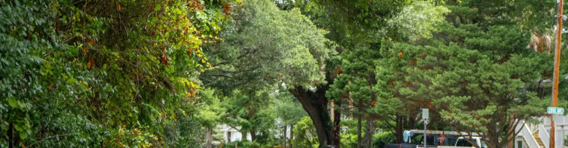 Paved path