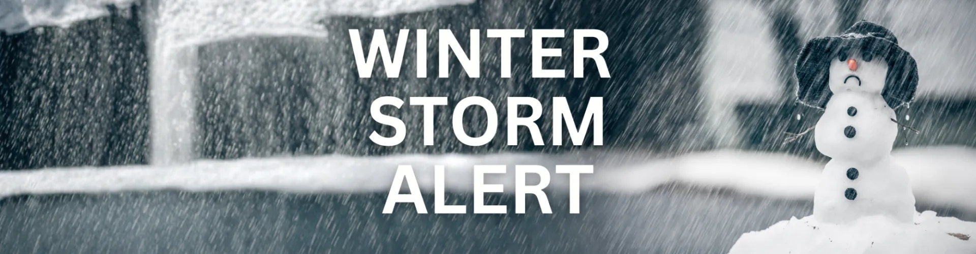 Winter Storm Alert