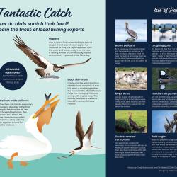 Fantastic catch