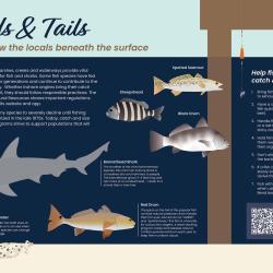 Heads and tails