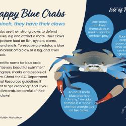 Blue crabs