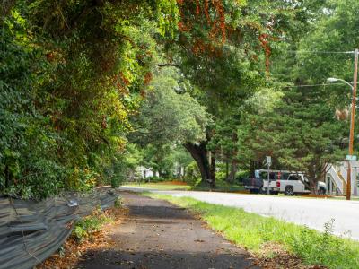 Paved path